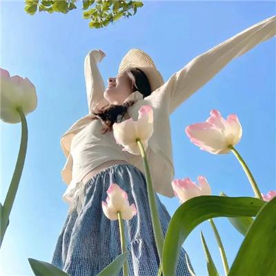 实习医生格蕾第十二季