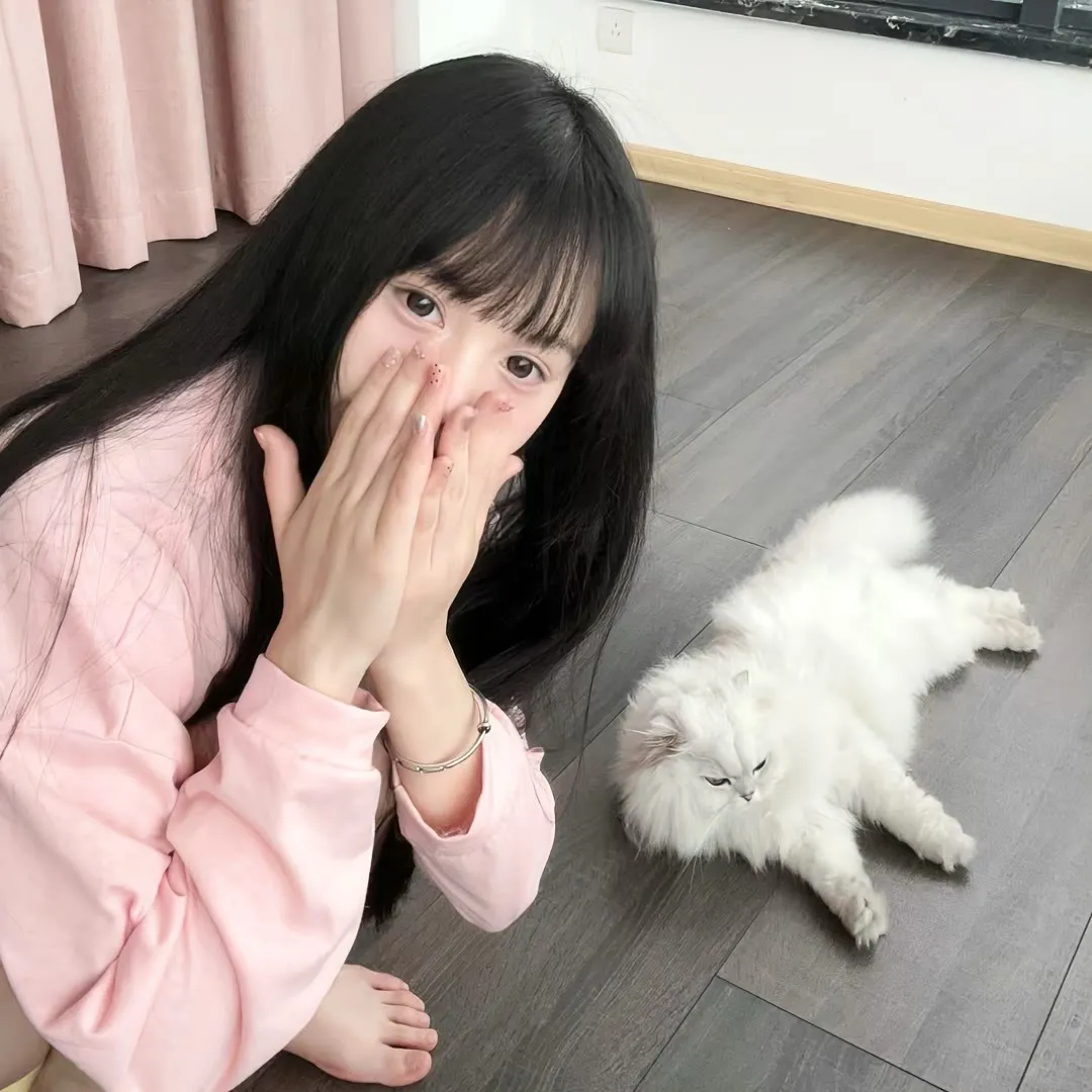 傲骨贤妻第五季